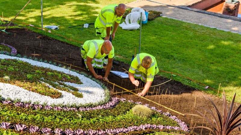 Sitework Service