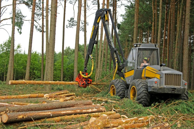 Forestry Clearing