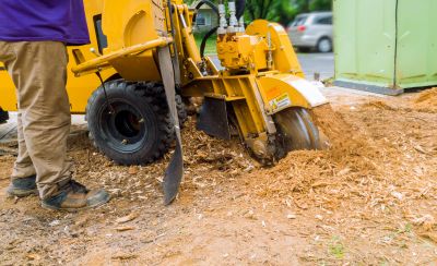 Stump Grinding Process